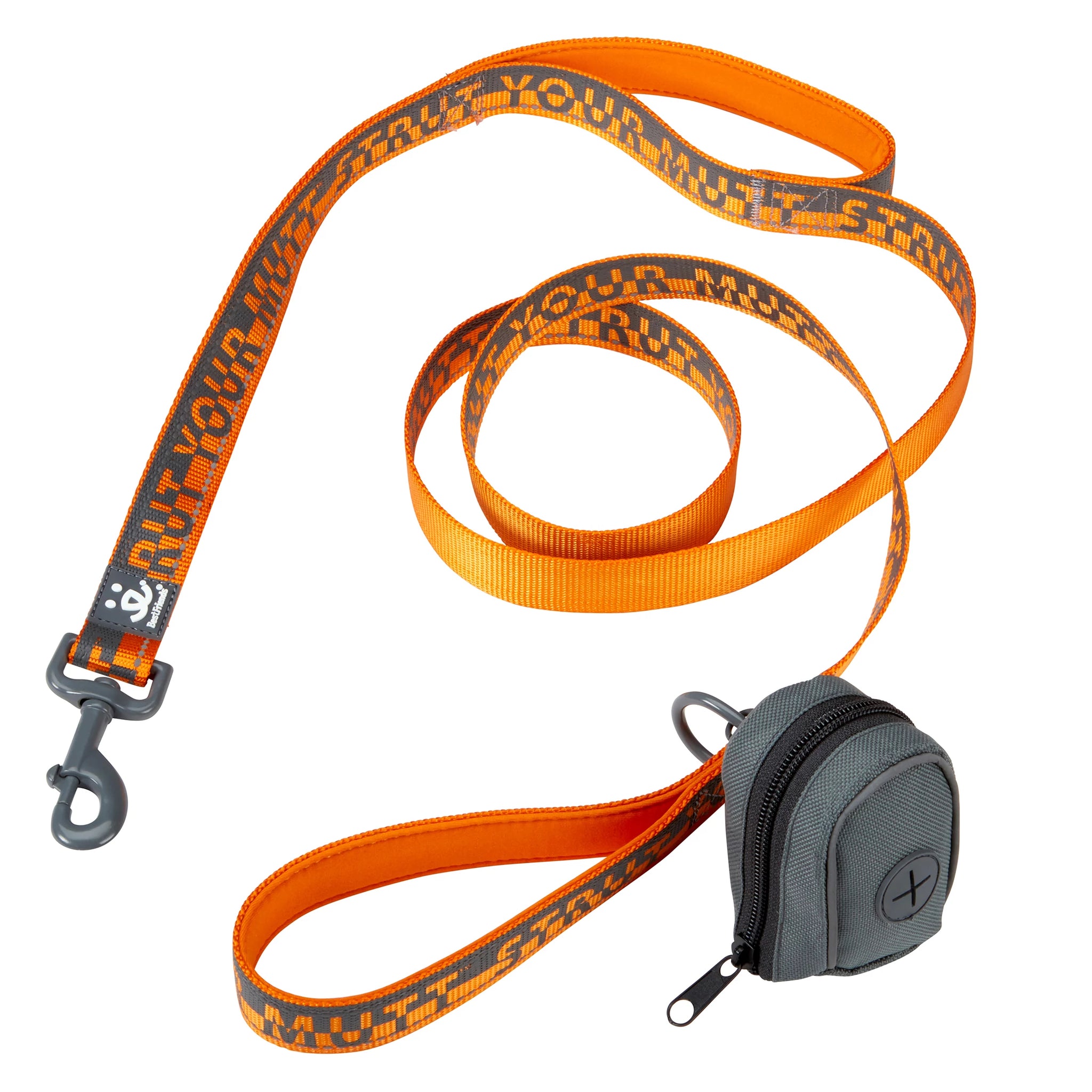 6 ft Dual Handle Comfort Leash