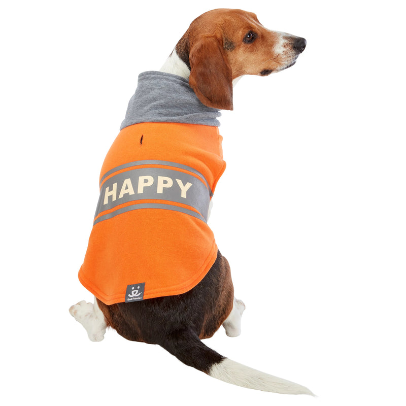 Dog model is wearing size MD