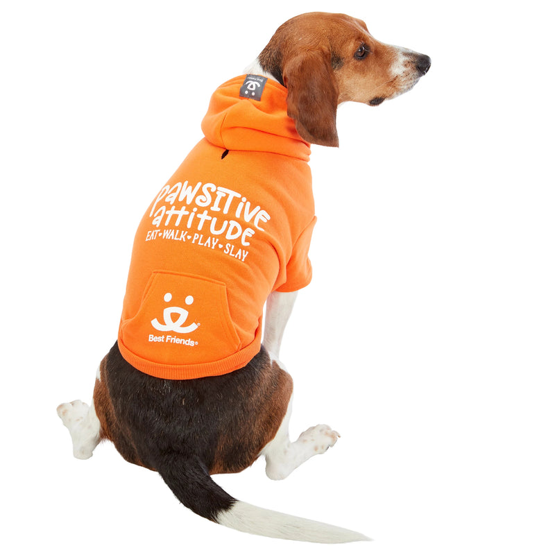 Dog model is wearing size MD