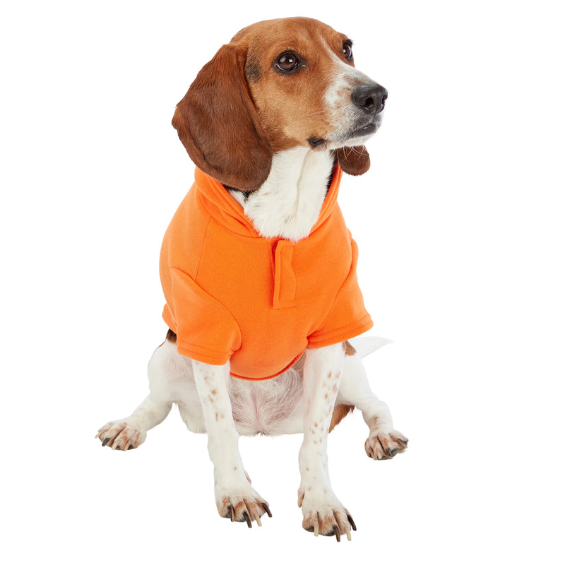 Dog model is wearing size MD