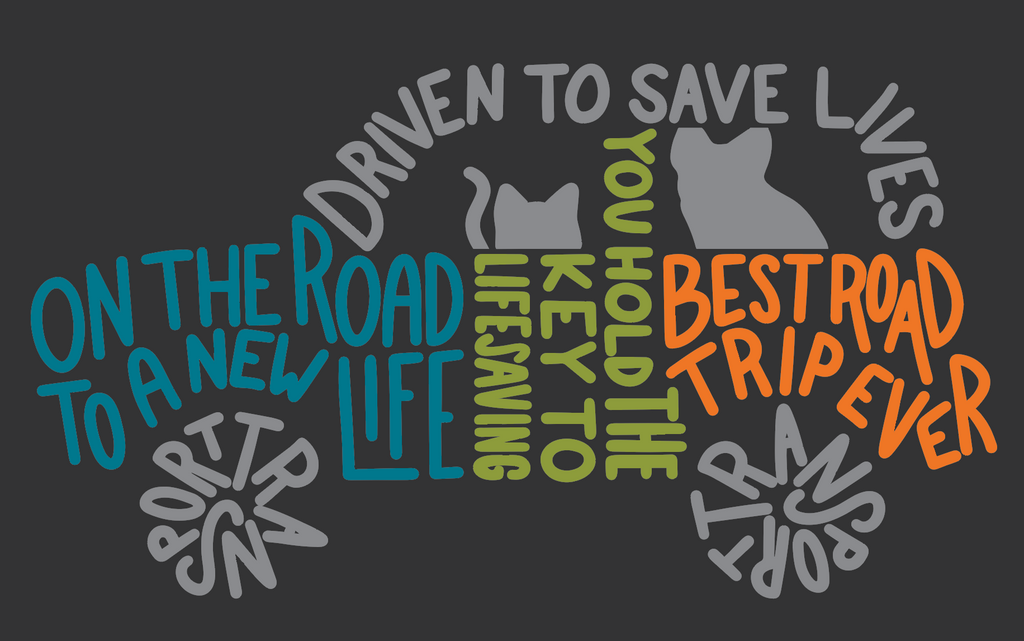 driven to save lives on the road to a new life transport you hold the key to lifesaving