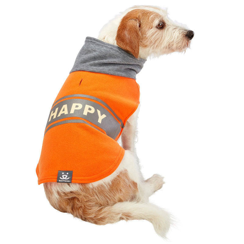 Dog model is wearing size SM