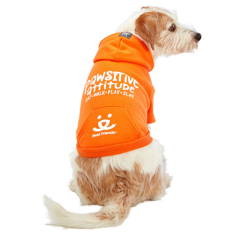 Dog model is wearing size SM