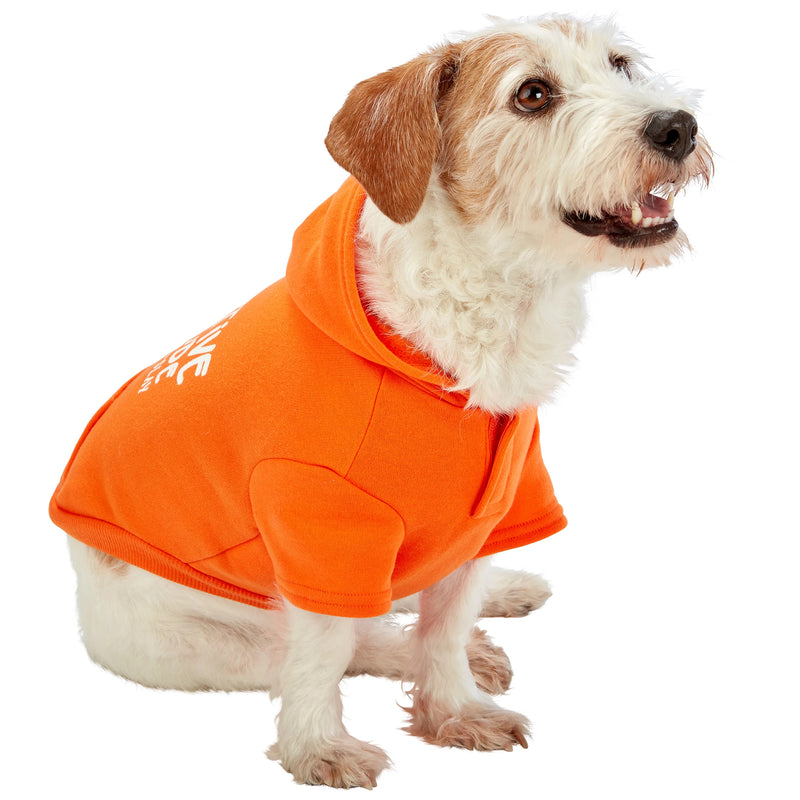 Dog model is wearing size SM