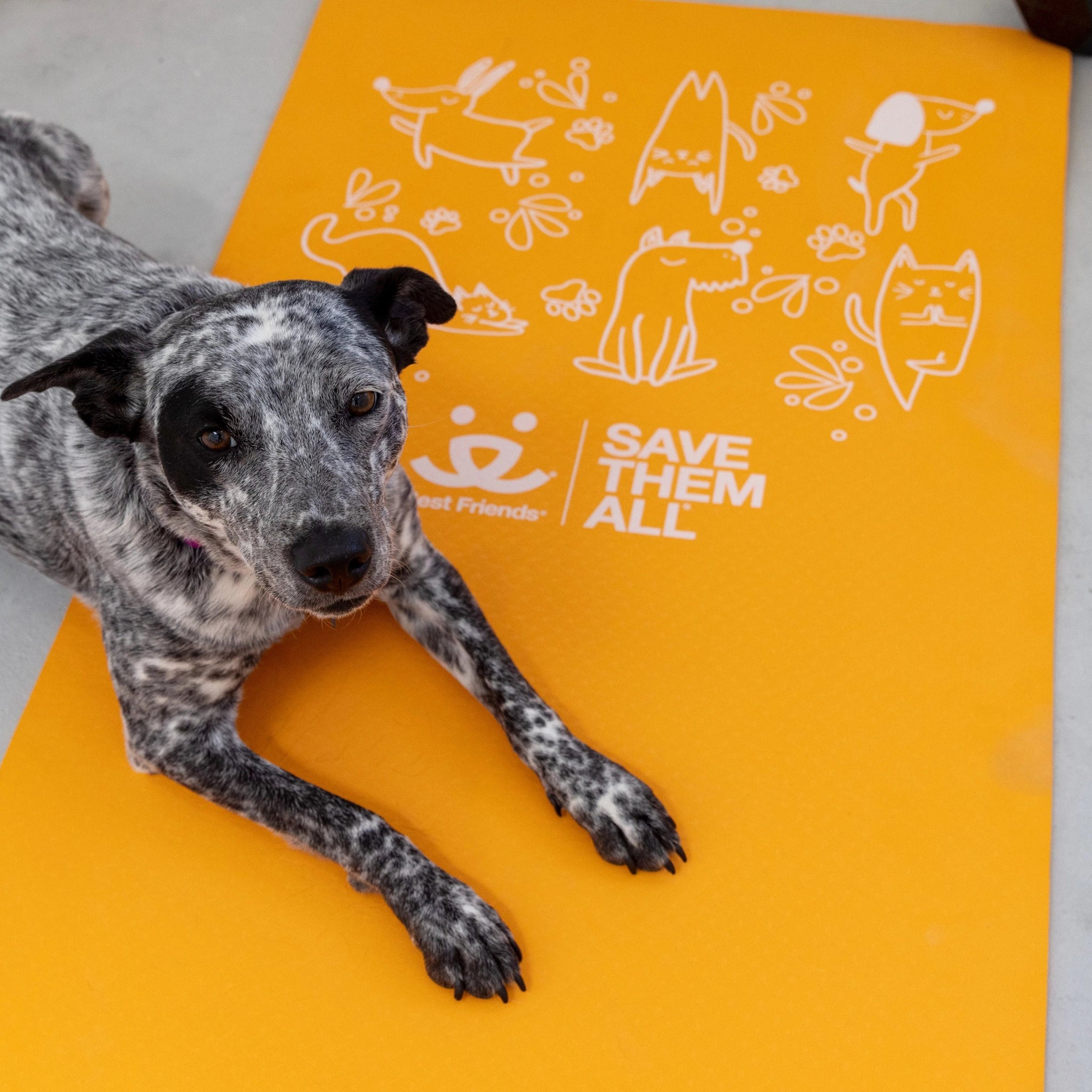 Yoga Mat Best Friends Store