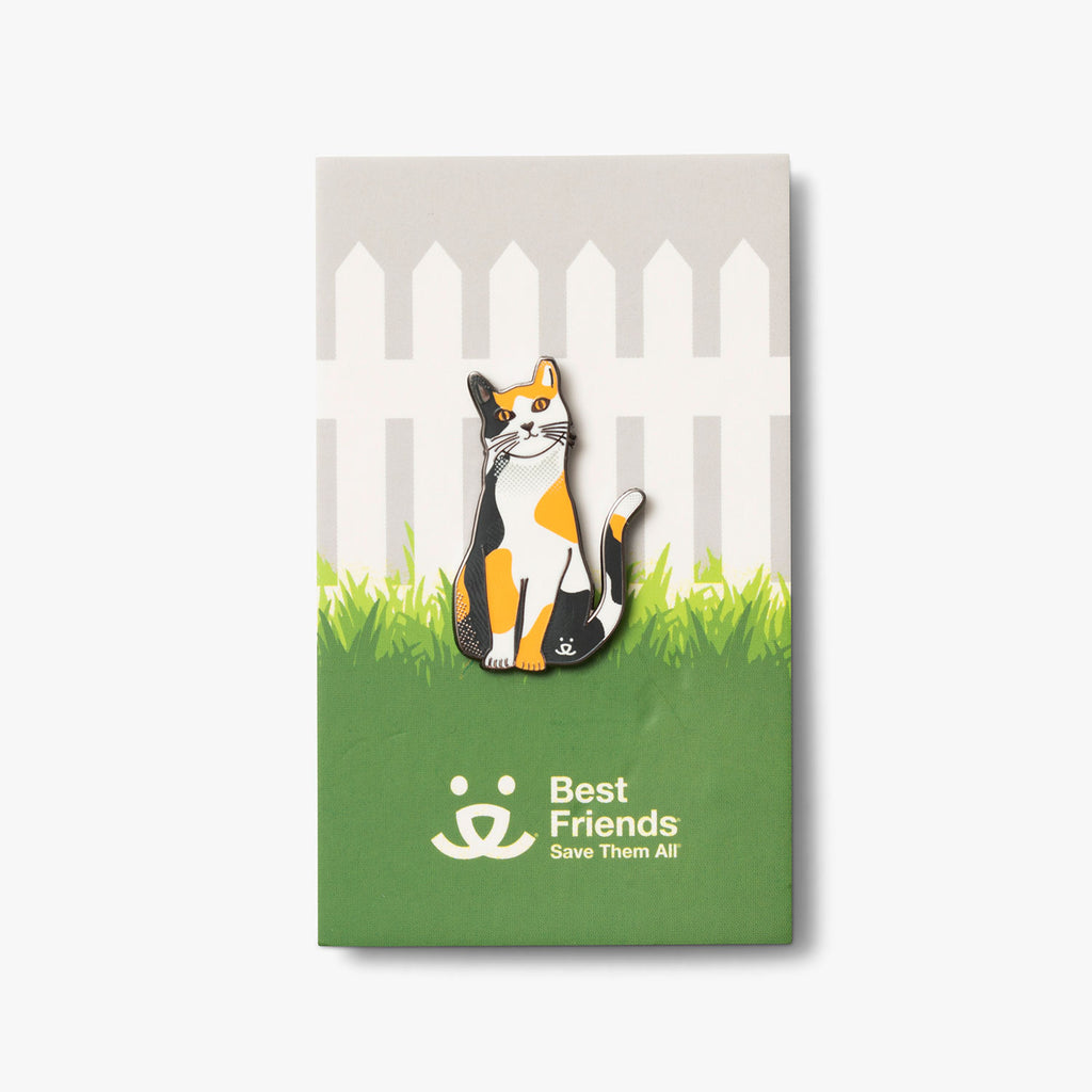 calico cat pin on grass and picket fence background card