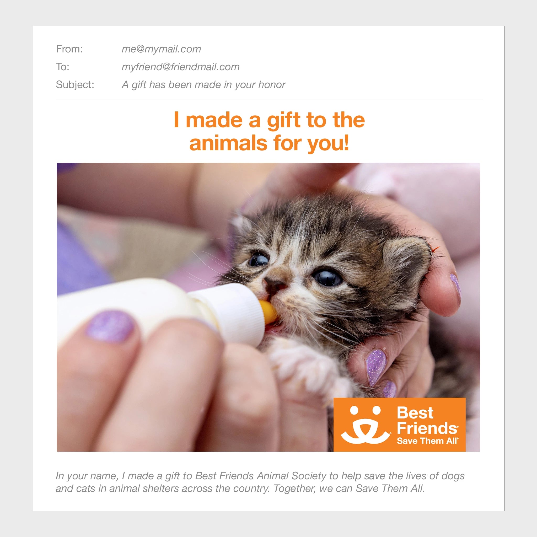 Fully Kitten Kitten Friendship Quotes
