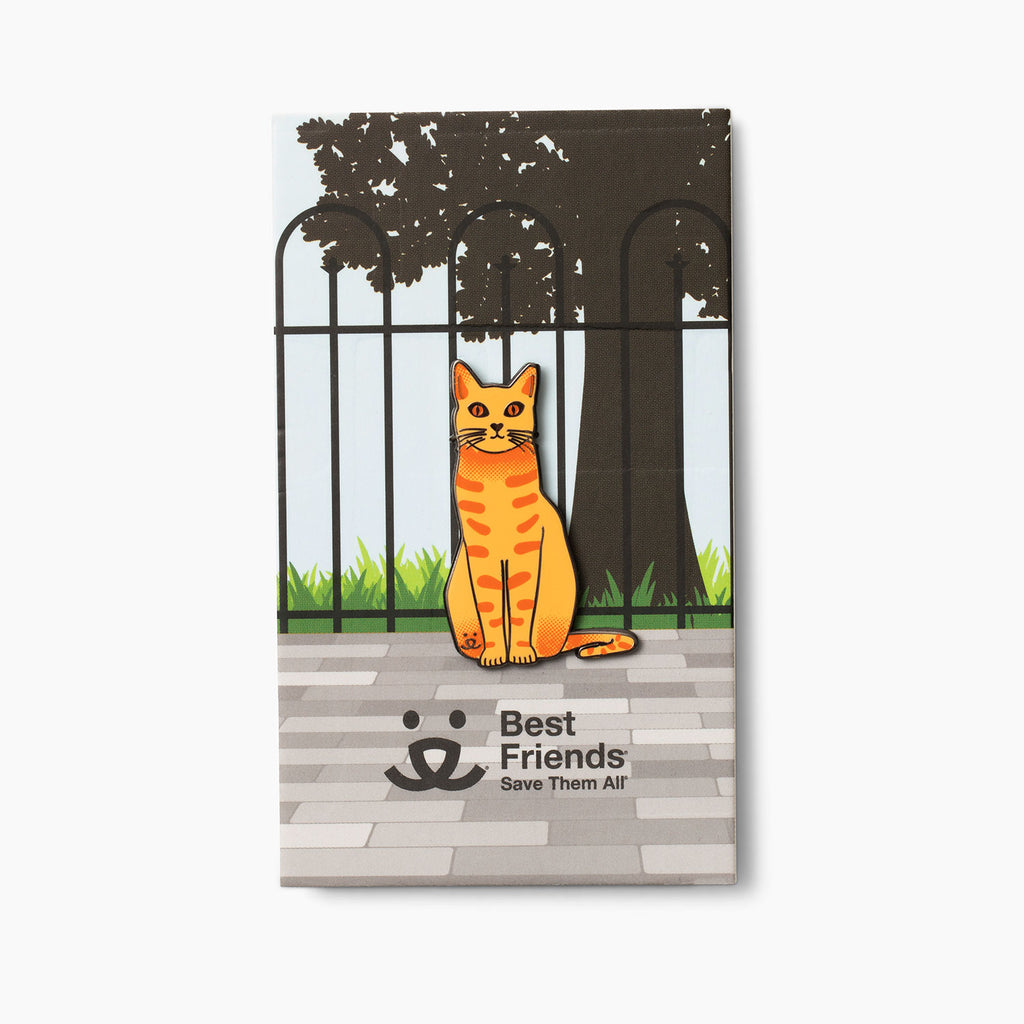 orange tabby cat pin on tree and wrought iron fence background with grey brick walkway showing best friends logo